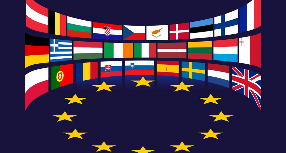 Možnosti reformy trhu s elektrickou energiou v EÚ 
